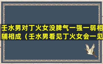 壬水男对丁火女没脾气一强一弱相辅相成（壬水男看见丁火女会一见钟情吗）