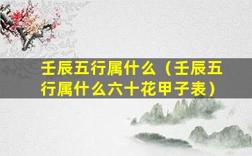 壬辰五行属什么（壬辰五行属什么六十花甲子表）