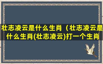 壮志凌云是什么生肖（壮志凌云是什么生肖(壮志凌云)打一个生肖动物,词典解）