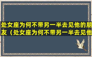 处女座为何不带另一半去见他的朋友（处女座为何不带另一半去见他的朋友呢）