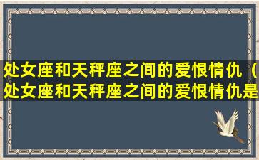 处女座和天秤座之间的爱恨情仇（处女座和天秤座之间的爱恨情仇是什么）