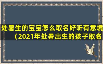 处暑生的宝宝怎么取名好听有意境（2021年处暑出生的孩子取名）