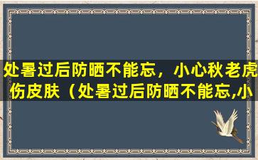 处暑过后防晒不能忘，小心秋老虎伤皮肤（处暑过后防晒不能忘,小心秋老虎伤皮肤）