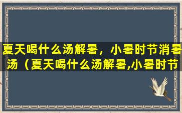 夏天喝什么汤解暑，小暑时节消暑汤（夏天喝什么汤解暑,小暑时节消暑汤）