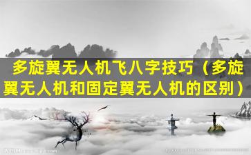 多旋翼无人机飞八字技巧（多旋翼无人机和固定翼无人机的区别）