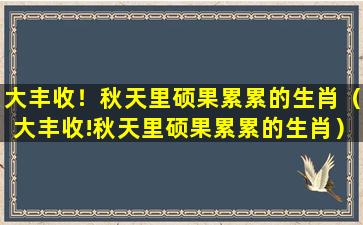 大丰收！秋天里硕果累累的生肖（大丰收!秋天里硕果累累的生肖）