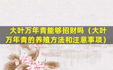 大叶万年青能够招财吗（大叶万年青的养殖方法和注意事项）