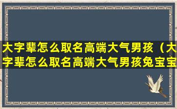 大字辈怎么取名高端大气男孩（大字辈怎么取名高端大气男孩兔宝宝名字）