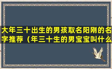 大年三十出生的男孩取名阳刚的名字推荐（年三十生的男宝宝叫什么小名好听）