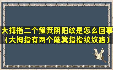 大拇指二个簸箕阴阳纹是怎么回事（大拇指有两个簸箕指指纹纹路）