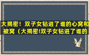 大揭密！双子女钻进了谁的心窝和被窝（大揭密!双子女钻进了谁的心窝和被窝）