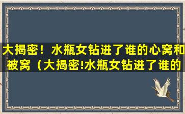 大揭密！水瓶女钻进了谁的心窝和被窝（大揭密!水瓶女钻进了谁的心窝和被窝）