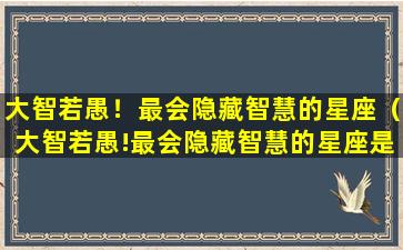 大智若愚！最会隐藏智慧的星座（大智若愚!最会隐藏智慧的星座是什么）