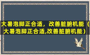 大暑泡脚正合适，改善脏腑机能（大暑泡脚正合适,改善脏腑机能）