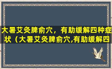 大暑艾灸脾俞穴，有助缓解四种症状（大暑艾灸脾俞穴,有助缓解四种症状）