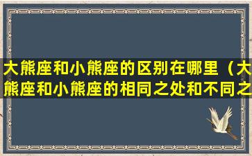 大熊座和小熊座的区别在哪里（大熊座和小熊座的相同之处和不同之处）