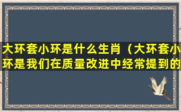 大环套小环是什么生肖（大环套小环是我们在质量改进中经常提到的一种说法）