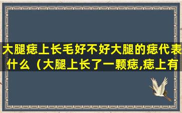 大腿痣上长毛好不好大腿的痣代表什么（大腿上长了一颗痣,痣上有一根汗毛）