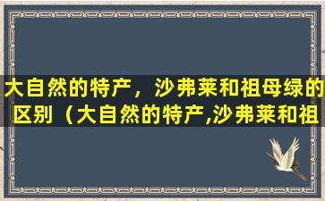 大自然的特产，沙弗莱和祖母绿的区别（大自然的特产,沙弗莱和祖母绿的区别）