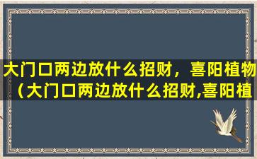 大门口两边放什么招财，喜阳植物（大门口两边放什么招财,喜阳植物好吗）