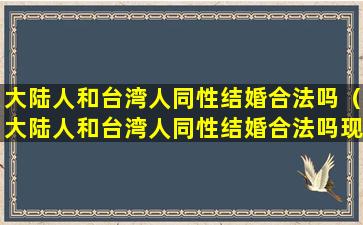 大陆人和台湾人同性结婚合法吗（大陆人和台湾人同性结婚合法吗现在）