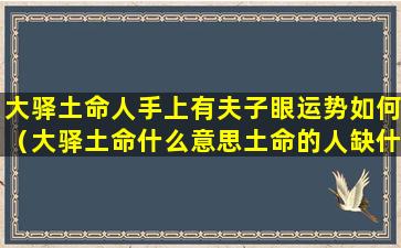 大驿土命人手上有夫子眼运势如何（大驿土命什么意思土命的人缺什么）