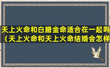 天上火命和白腊金命适合在一起吗（天上火命和天上火命结婚会怎样）