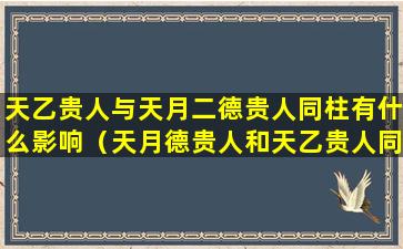 天乙贵人与天月二德贵人同柱有什么影响（天月德贵人和天乙贵人同现八字好么）