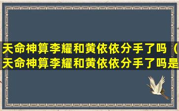 天命神算李耀和黄依依分手了吗（天命神算李耀和黄依依分手了吗是哪一集）