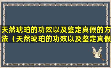 天然琥珀的功效以及鉴定真假的方法（天然琥珀的功效以及鉴定真假的方法有哪些）