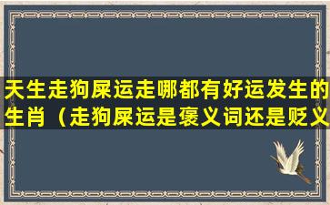 天生走狗屎运走哪都有好运发生的生肖（走狗屎运是褒义词还是贬义词）