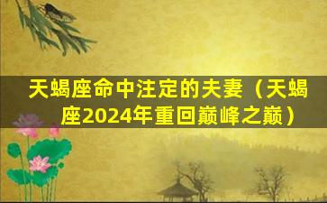 天蝎座命中注定的夫妻（天蝎座2024年重回巅峰之巅）