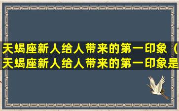 天蝎座新人给人带来的第一印象（天蝎座新人给人带来的第一印象是什么）