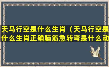 天马行空是什么生肖（天马行空是什么生肖正确脑筋急转弯是什么动物排几位数）