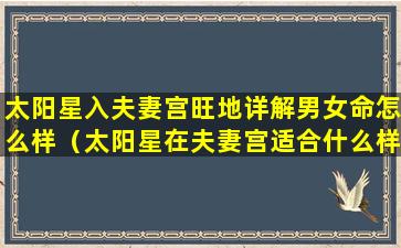 太阳星入夫妻宫旺地详解男女命怎么样（太阳星在夫妻宫适合什么样的配偶）