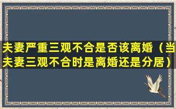 夫妻严重三观不合是否该离婚（当夫妻三观不合时是离婚还是分居）