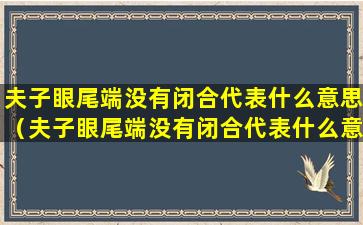 夫子眼尾端没有闭合代表什么意思（夫子眼尾端没有闭合代表什么意思啊）