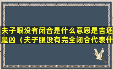 夫子眼没有闭合是什么意思是吉还是凶（夫子眼没有完全闭合代表什么意思）