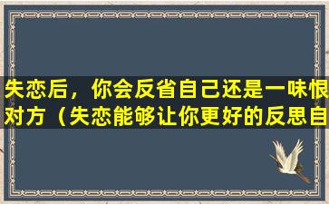 失恋后，你会反省自己还是一味恨对方（失恋能够让你更好的反思自己在恋爱中的做法）