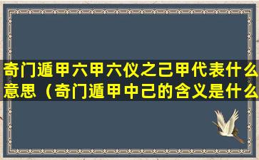 奇门遁甲六甲六仪之己甲代表什么意思（奇门遁甲中己的含义是什么）