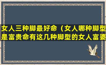 女人三种脚最好命（女人哪种脚型是富贵命有这几种脚型的女人富婆命）