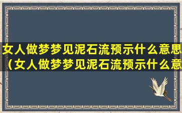 女人做梦梦见泥石流预示什么意思（女人做梦梦见泥石流预示什么意思呢）