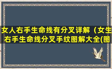 女人右手生命线有分叉详解（女生右手生命线分叉手纹图解大全(图文)）