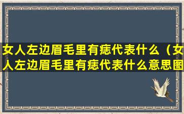 女人左边眉毛里有痣代表什么（女人左边眉毛里有痣代表什么意思图解）