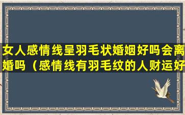 女人感情线呈羽毛状婚姻好吗会离婚吗（感情线有羽毛纹的人财运好么）