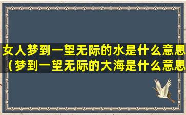 女人梦到一望无际的水是什么意思（梦到一望无际的大海是什么意思）