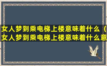 女人梦到乘电梯上楼意味着什么（女人梦到乘电梯上楼意味着什么意思）