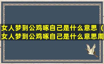 女人梦到公鸡啄自己是什么意思（女人梦到公鸡啄自己是什么意思周公解梦）