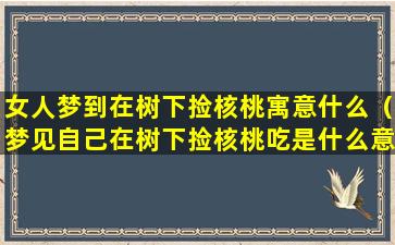 女人梦到在树下捡核桃寓意什么（梦见自己在树下捡核桃吃是什么意思）