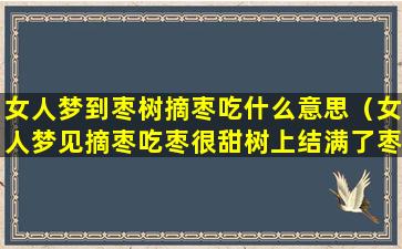 女人梦到枣树摘枣吃什么意思（女人梦见摘枣吃枣很甜树上结满了枣）